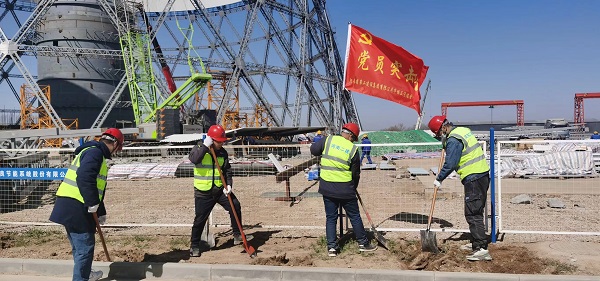 3、植树活动现场，大家分工明确，配合默契 (1).jpg